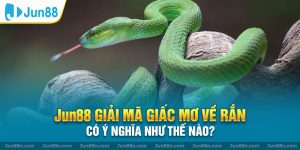 JUN88 giải mã giấc mơ về rắn có ý nghĩa như thế nào?