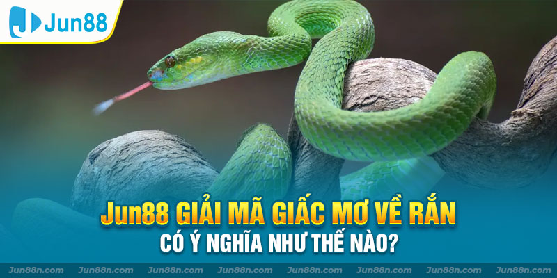 JUN88 giải mã giấc mơ về rắn có ý nghĩa như thế nào?